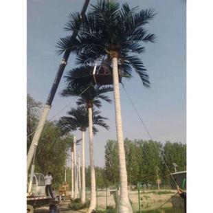 工厂直销仿真椰子树大型娱乐人造假树景观树抗紫外线仿真假树