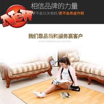 韩国子床垫家用床褥可移动爬爬垫多功能电热炕垫地c板垫儿童客厅