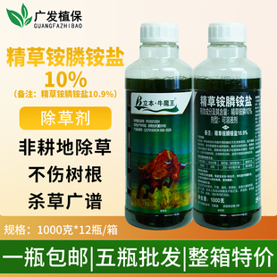 立本牛魔王10%精草铵膦胺磷铵盐非耕地黄山地小飞蓬杀杂草除草剂