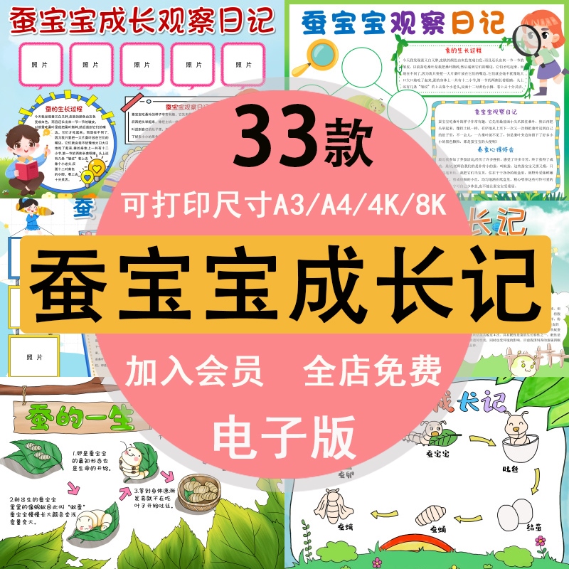 关于蚕的一生手抄报蚕宝宝成长记蚕主题蚕的作用半成品a34k8k素材