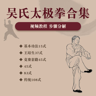 吴氏太极拳全套教程教学影片正宗王培生37式标准套路45式