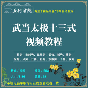 武当太极十三式影片教程零基础自学武当健身十三势