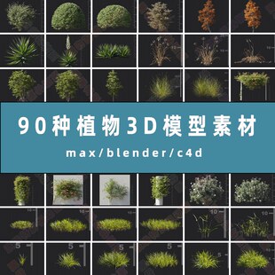绿植3d模型素材90种花草树木灌木高模素材max/blender/c4d资产