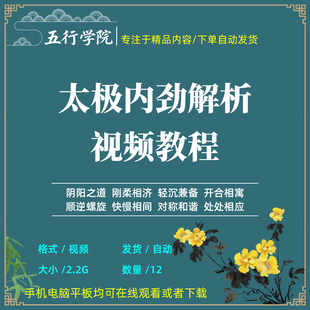 太极拳内劲解析影片教程太极拳高级内功详解健康养生进阶