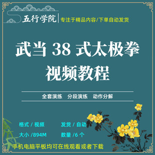 武当38式太极拳影片教程全套演练动作分解陈师行教学武当三丰太极