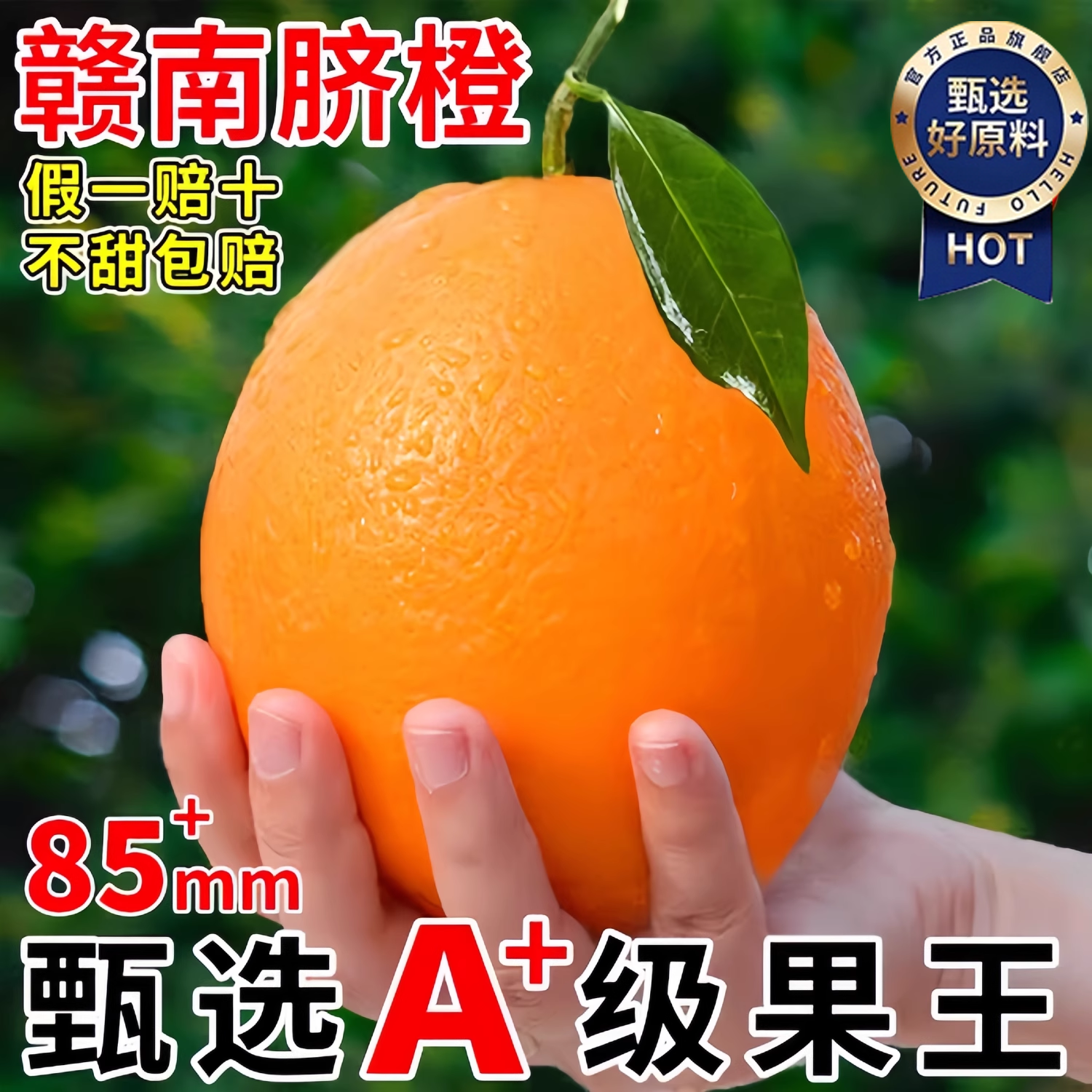 江西赣南脐橙橙子新鲜水果当季整箱5斤正宗精品大果赣州甜10礼盒