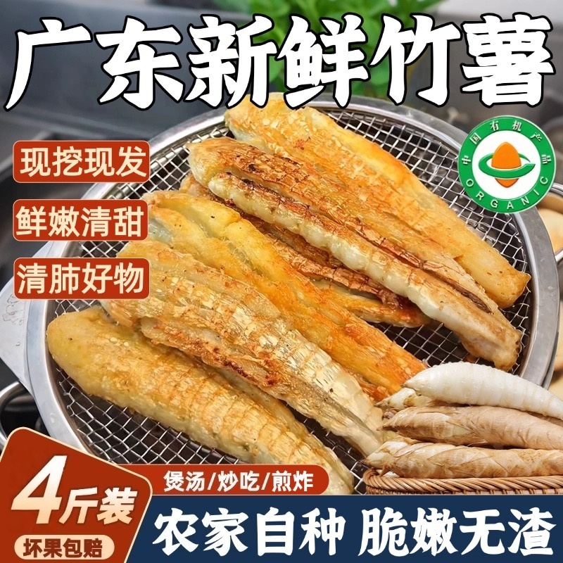 【全网热销100w+】广东竹薯新鲜