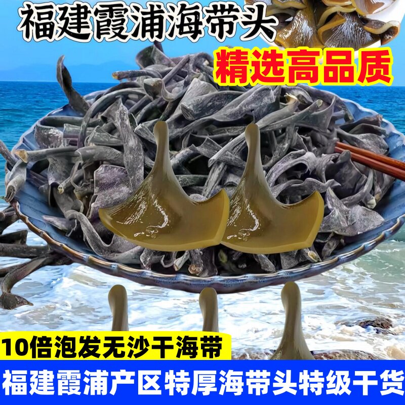 正宗霞浦海带头干特厚免洗央妈推荐海带头干货特级厚农户特级