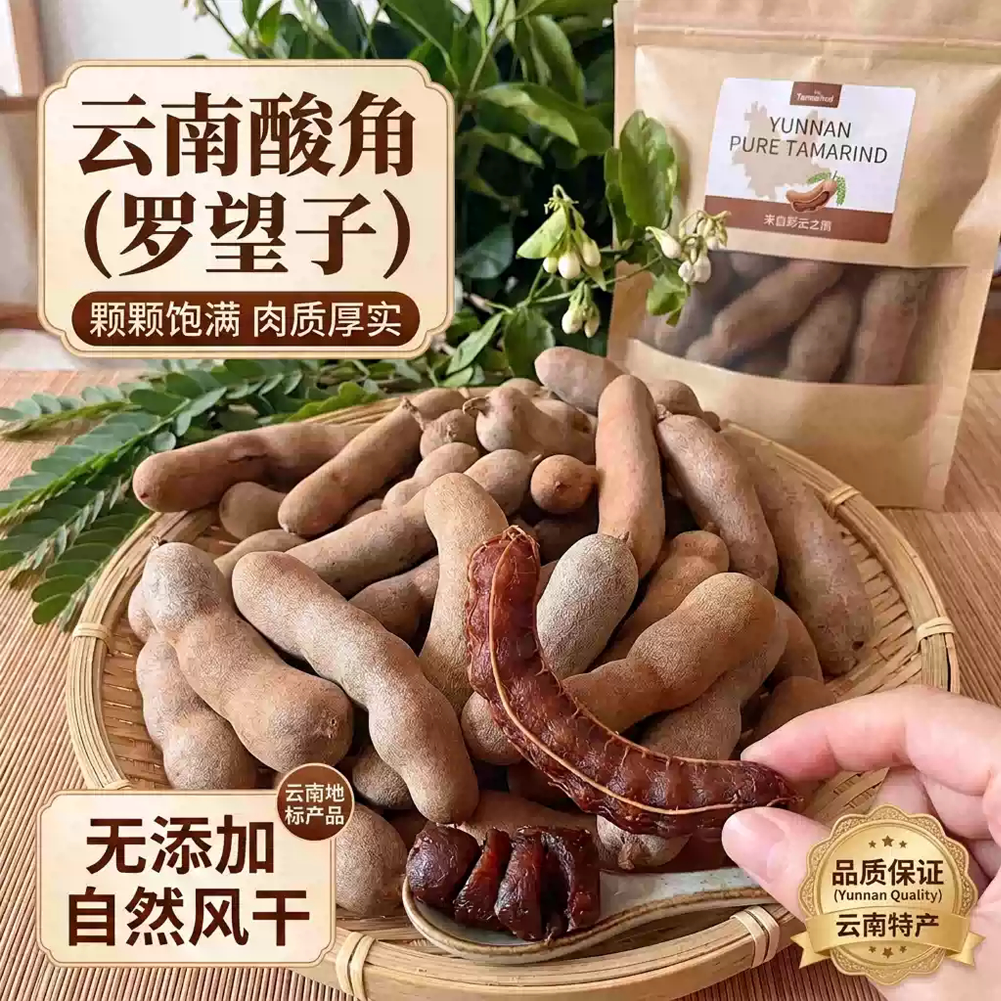 甜酸角云南特产新鲜野生大果孕妇零食酸豆角新鲜野生官方旗舰店