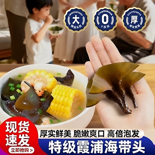 正宗福建霞浦海带头干货特级厚实软糯海带根特厚级海带丝煲汤炖汤