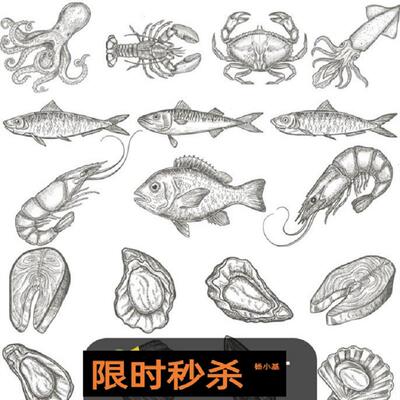 贝壳素描插画eps乌贼螃蟹墨鱼矢量海鲜EPS素材虾三文鱼虾e
