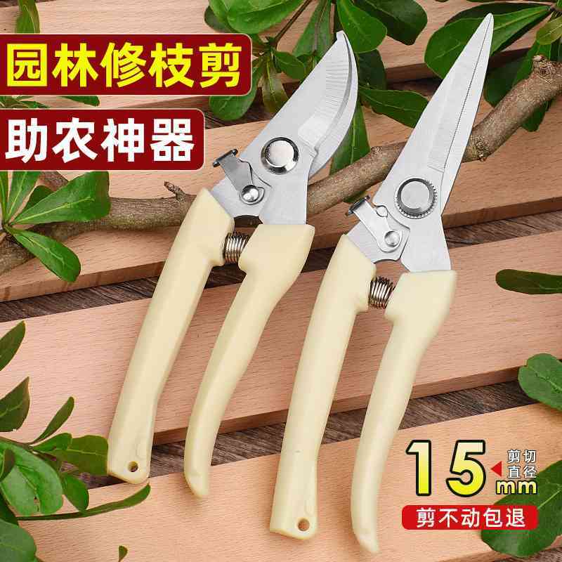 专用不锈钢园艺修枝剪刀 果树园林花艺剪子 修花剪枝摘果剪子工具图片