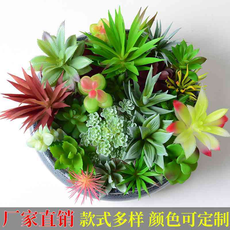 仿真多肉植物绿植装饰品仙人掌迷你小摆件组合多肉盆栽盆景