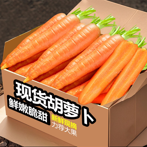 现挖新鲜胡萝卜3斤！包邮