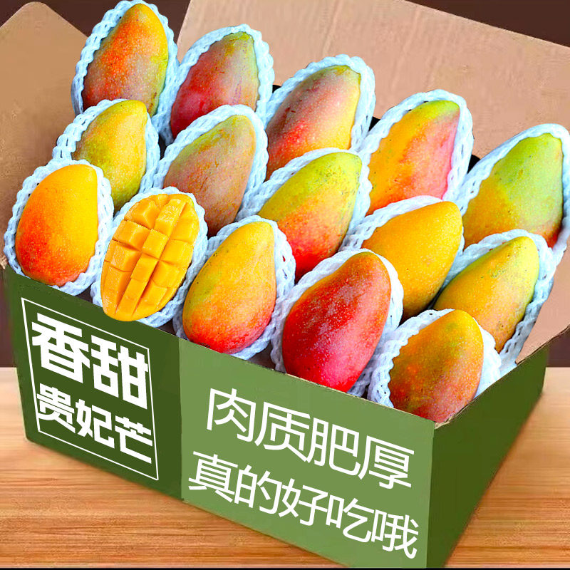 广西贵妃芒金凤凰芒果新鲜9水果大果当季整箱现摘红金龙辣椒芒5
