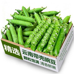 新鲜豌豆现摘带壳高山青豆角粒云南应当季农家蔬菜甜豆荚整箱包邮