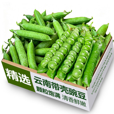新鲜豌豆现摘带壳高山青豆角粒云南应当季农家蔬菜甜豆荚整箱包邮