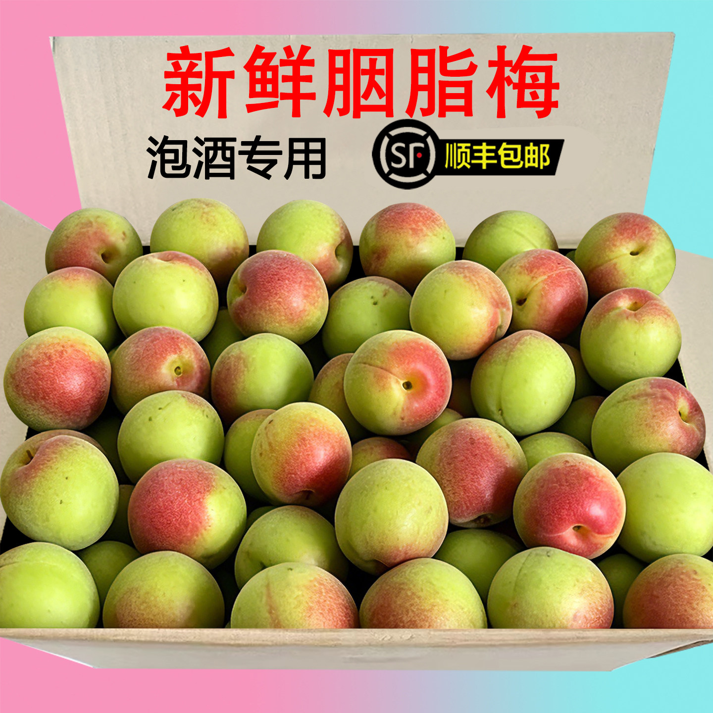 顺丰包邮胭脂梅现摘泡酒专用诏安新鲜青梅特大果高山脆青梅子野生