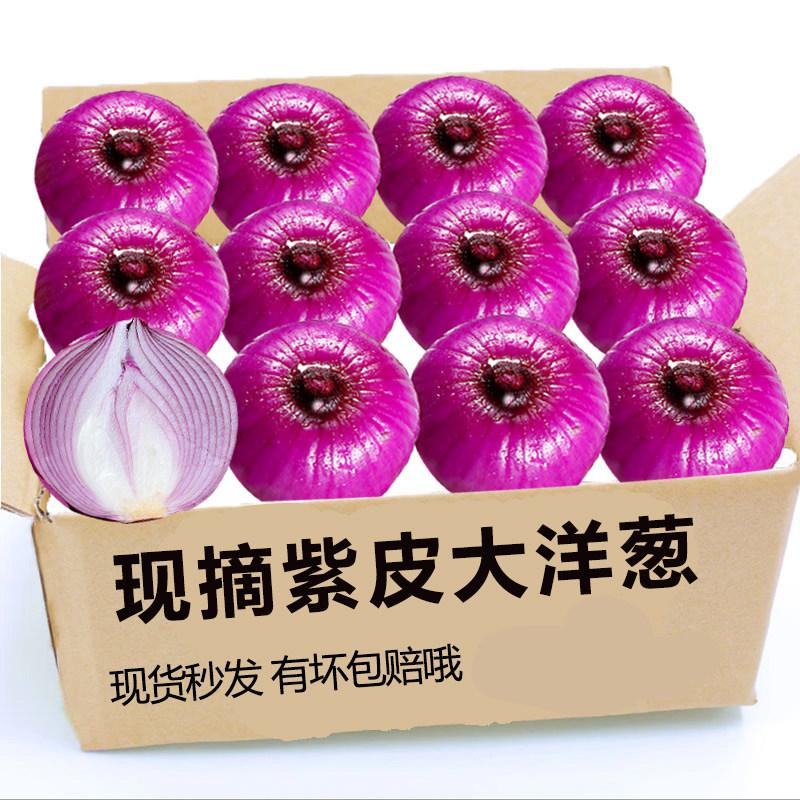 现在紫皮大洋葱产地甜味生吃紫皮圆葱头蔬菜新鲜农家包邮批发