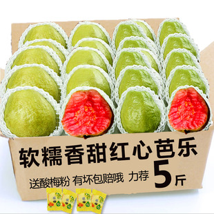 红心芭乐番石榴5斤树上熟水果新鲜广东当季软糯甜香红色巴乐整箱