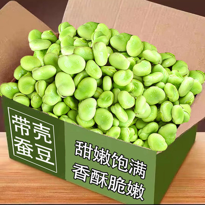 力荐5斤！新鲜带壳蚕豆脆甜饱满