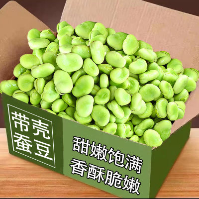 力荐5斤！新鲜带壳蚕豆脆甜饱满