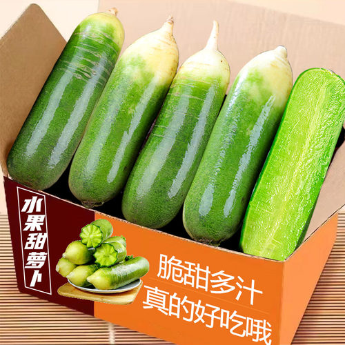 山东特产潍坊正宗水果萝卜生吃潍县青萝卜冰激凌沙窝天星萝卜新鲜