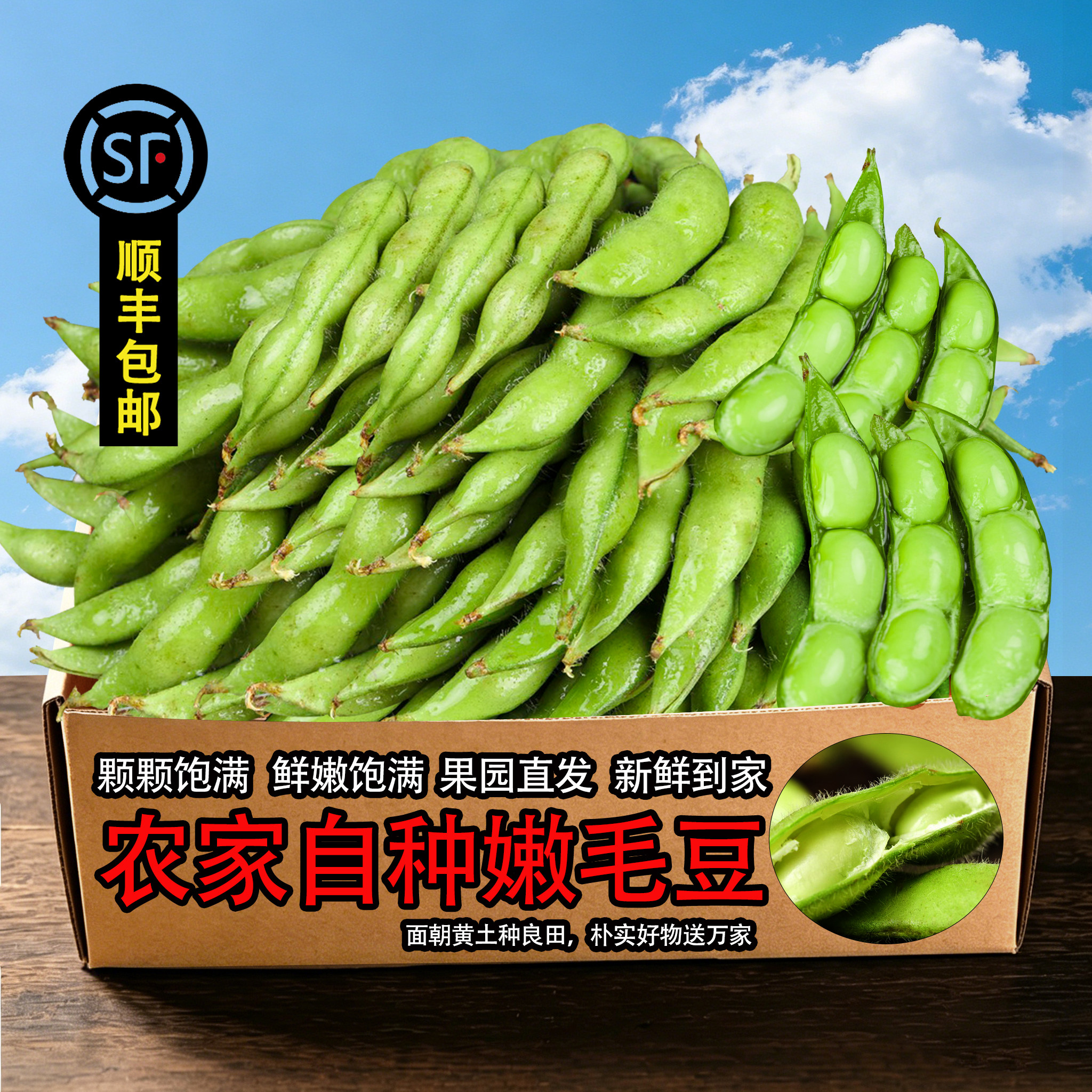 现摘带壳毛豆顺丰包邮农家新鲜蔬菜生毛豆角嫩青豆米卤煮凉拌豆荚