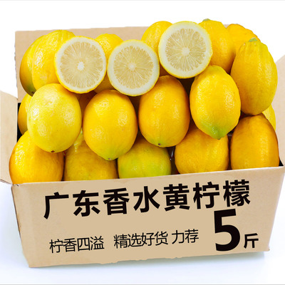 新鲜香水柠檬黄果当季水果一级果广东黄柠檬奶茶店整箱非安岳柠檬