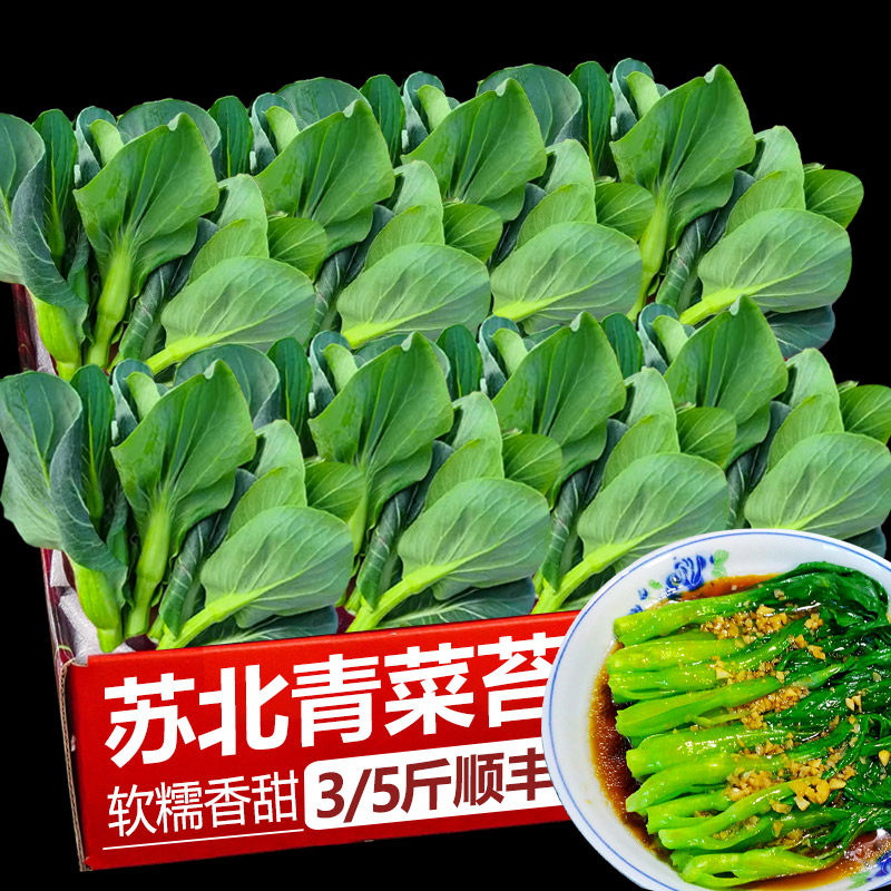 ���ڲ�����500g �����ձ����̦������ժ¶��˪�����İײ�޷�۲��������̦�Ͳ�̦ 5.7Ԫ