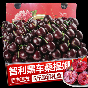 智利进口车厘子新鲜水果桑提娜5斤原箱礼盒顺丰包邮当季整箱樱桃