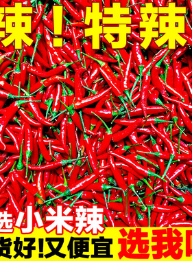 小米辣椒新鲜5斤特辣小米椒朝天椒超辣薄皮土红辣椒指天椒尖椒