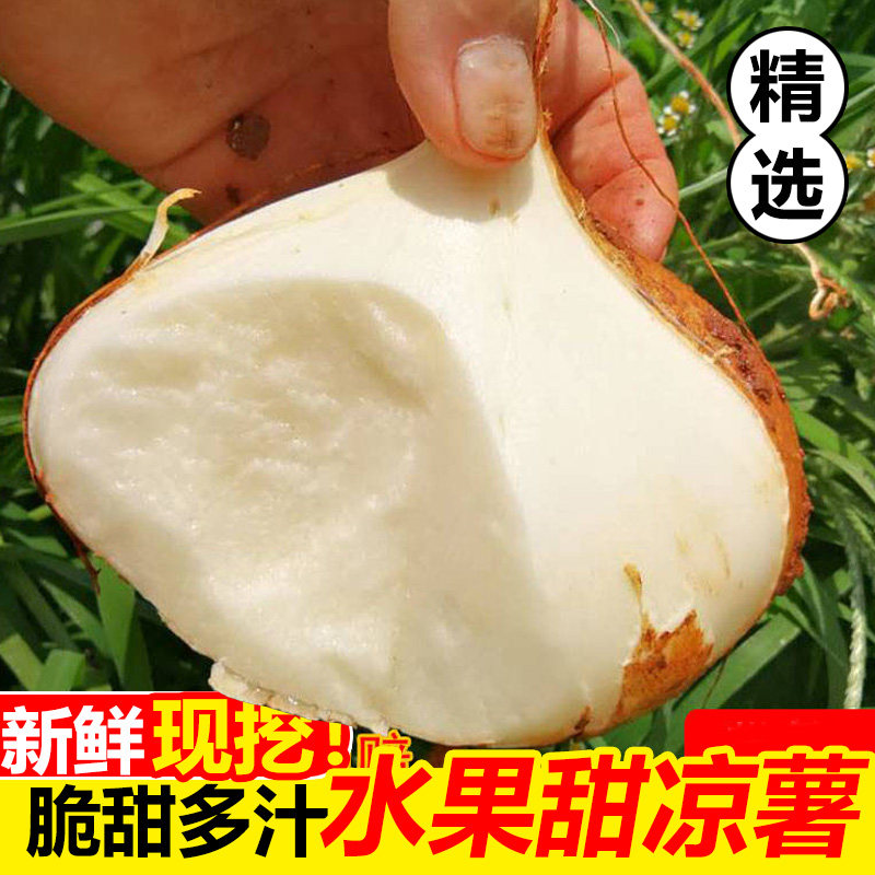 水果凉薯即食广西新鲜农家自种白地瓜红豆薯蔬菜整箱土瓜小番薯沙