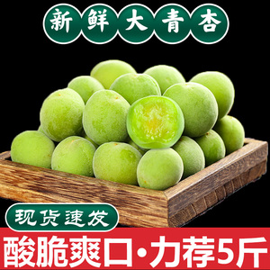 现货杏子新鲜水果陕西大青杏应当季软核小青杏整箱黄农家酸杏包邮