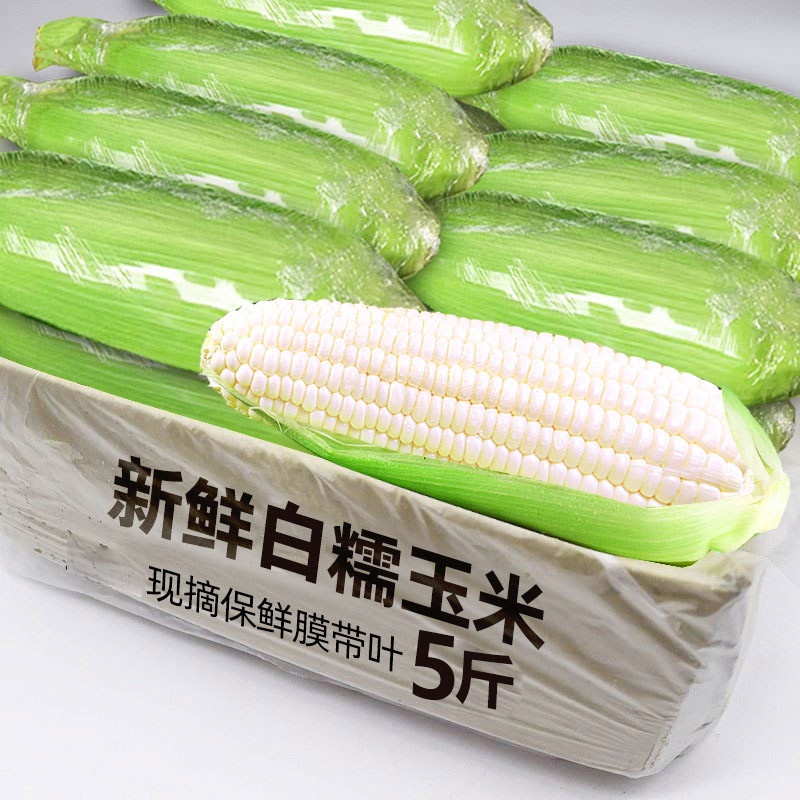现摘白糯玉米力软糯香甜