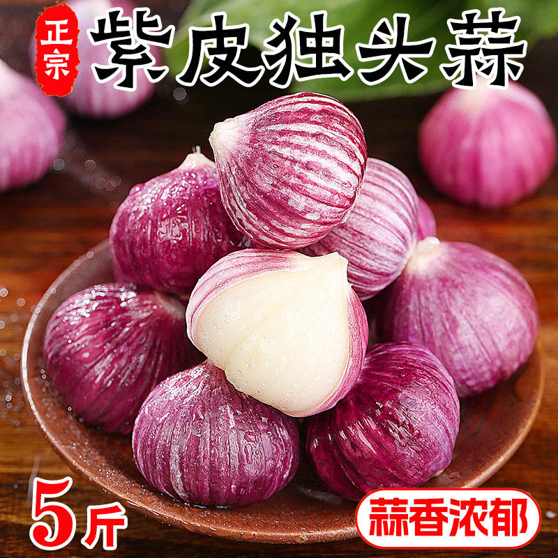 正宗紫皮独头蒜5斤当季应季新鲜现挖大蒜头农家蔬菜红皮独头瓣蒜1,水产肉类/新鲜蔬果/熟食,大蒜,淘宝优惠券,粉丝福利购,淘宝优惠卷