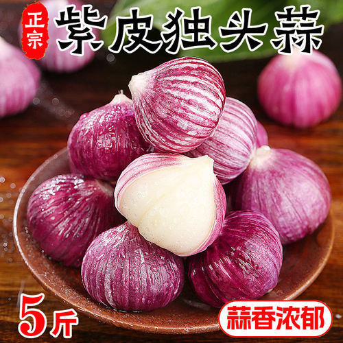 正宗紫皮独头蒜当季应季新鲜现挖大蒜头农家蔬菜红皮独头瓣蒜包邮