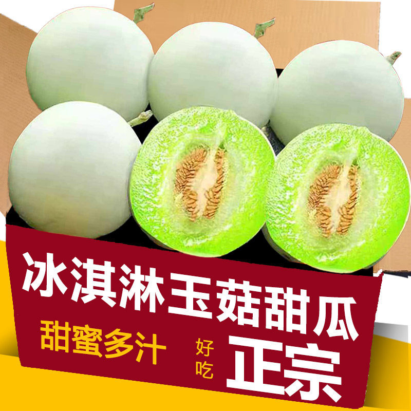新鲜现发玉菇甜瓜新鲜水果应当季香瓜青皮绿肉时令白蜜瓜整箱包邮
