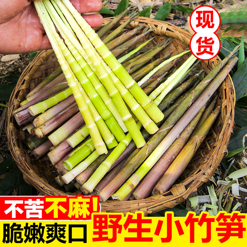 现拔小竹笋野生新鲜现挖带壳5斤竹笋手剥小春笋脆嫩笋尖