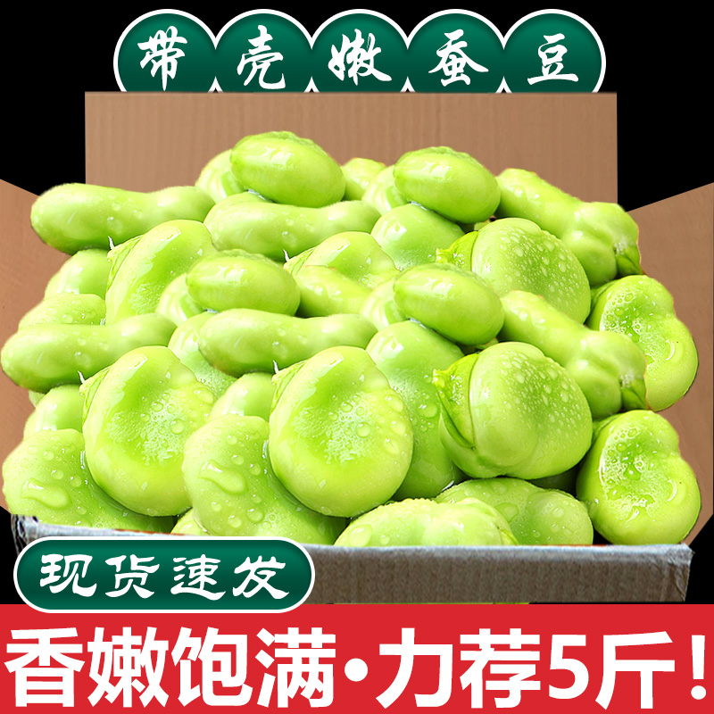 云南新鲜蚕豆5斤农家带壳生本地罗汉兰花胡豆青豆荚蔬菜整箱包邮3