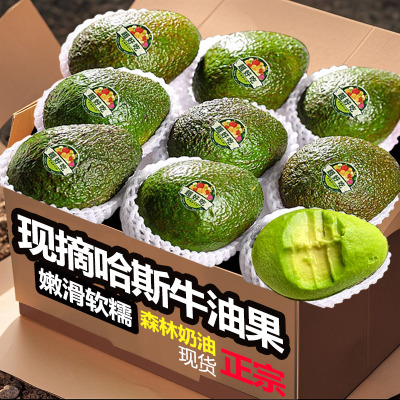 云南哈斯牛油果10个大果当季新鲜水果宝宝辅食即食鳄梨香整箱速发