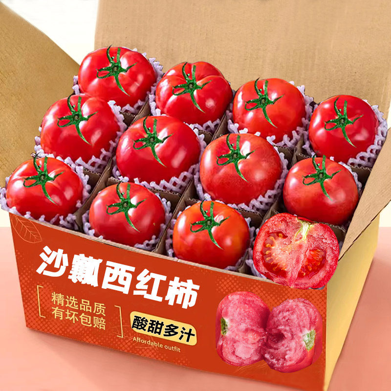 正宗沙瓤西红柿新鲜现摘甜水果自然熟生吃番茄非草莓柿子普罗旺斯