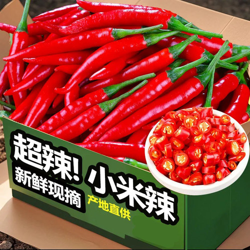 小米辣椒新鲜现摘农家蔬菜