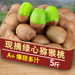 湖南湘西头茬现猕猴桃新鲜水果当季整箱5斤包邮弥猴桃绿心奇异果
