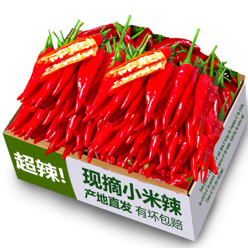 小米辣椒新鲜现摘香辣过瘾