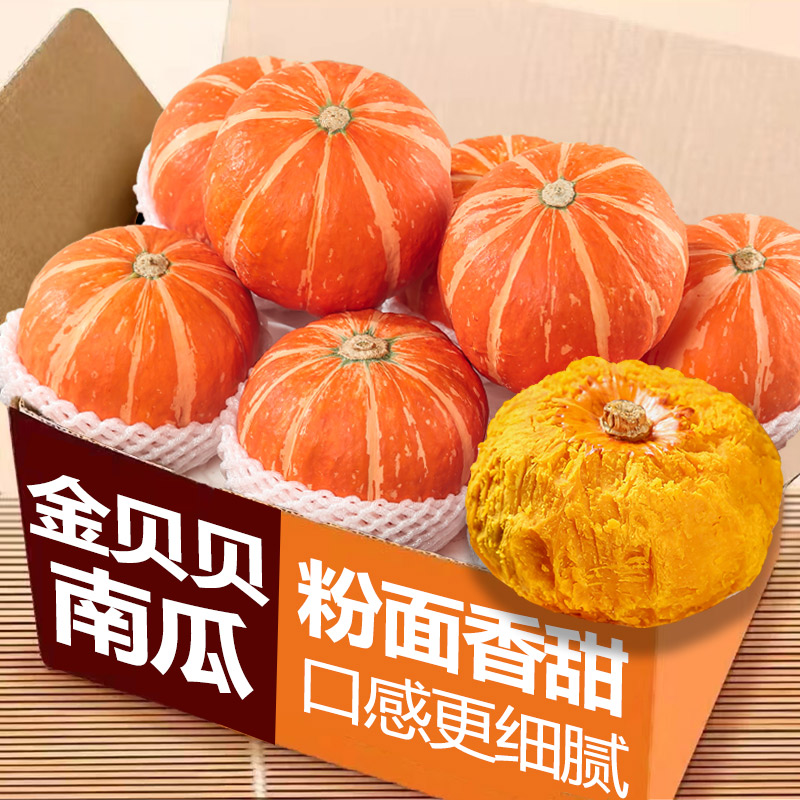 板栗金贝贝南瓜正宗小南瓜南瓜蒸煮粉面香甜整箱精选新鲜婴儿辅食