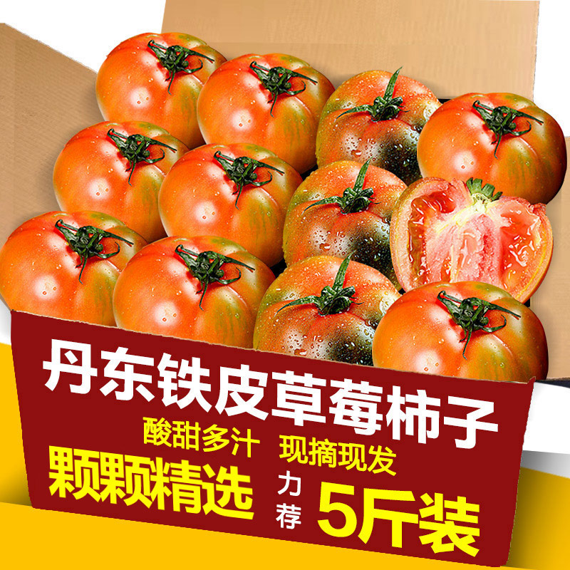 铁皮草莓柿子正宗当季好货!