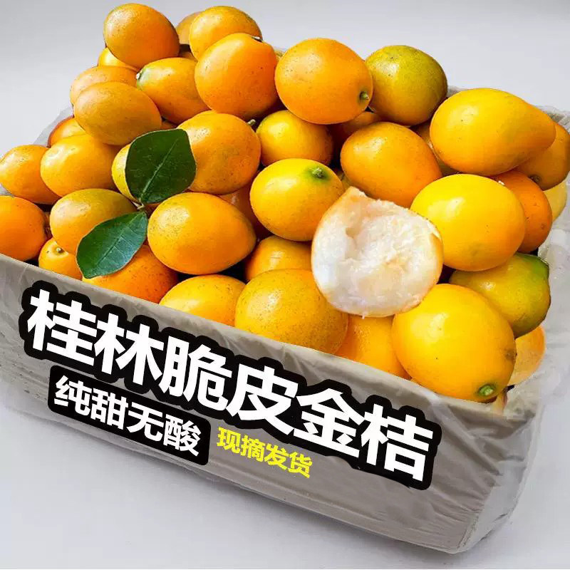 脆皮金桔广西桂林新鲜现摘5斤