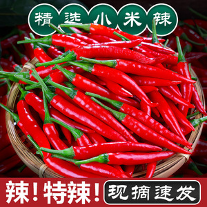 现摘小米辣椒新鲜特辣小米椒朝天椒超辣薄皮土红辣椒指天椒尖椒
