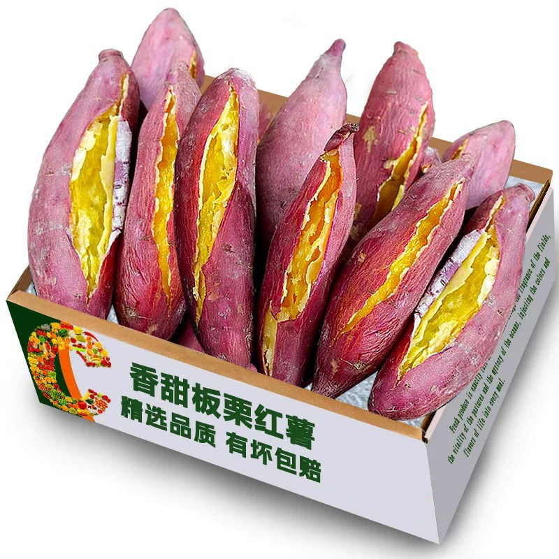 陕西正宗临潼板栗红薯沙地现挖新鲜番薯农家自种小香薯甜山芋地瓜图片